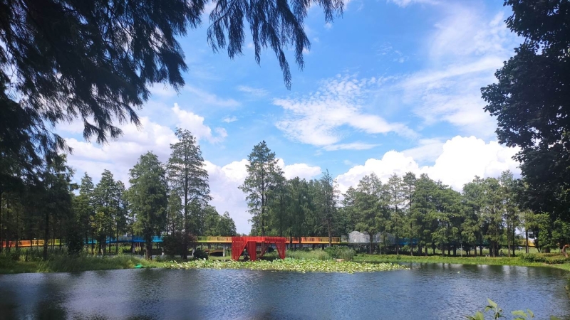 ������Ե(�й���)�ٷ���վ